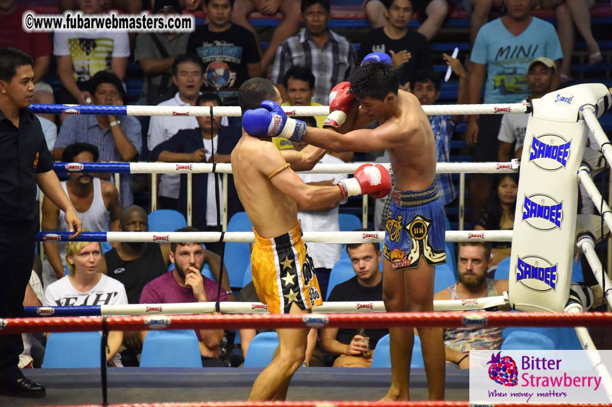 Muay Thai Boxing