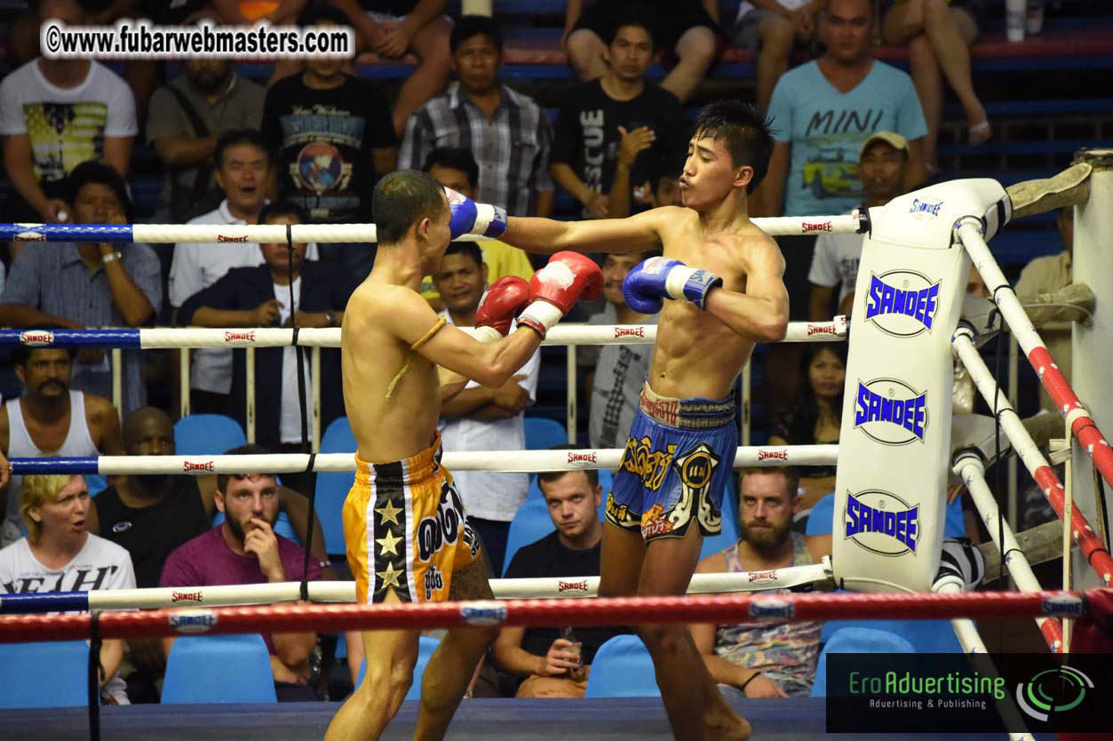 Muay Thai Boxing