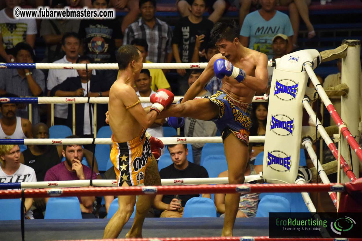 Muay Thai Boxing