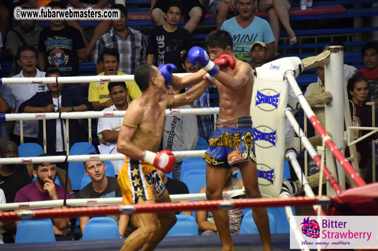 Muay Thai Boxing