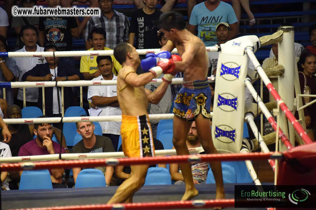 Muay Thai Boxing