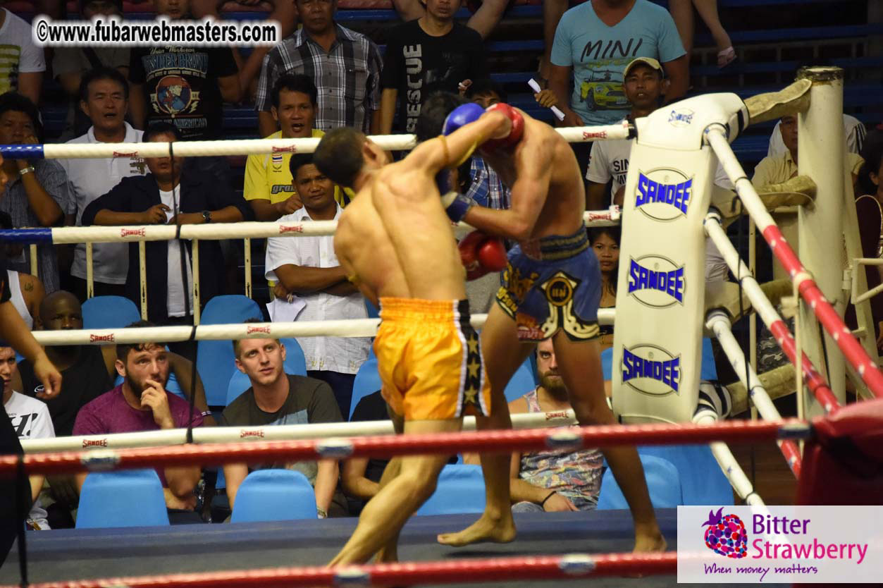 Muay Thai Boxing