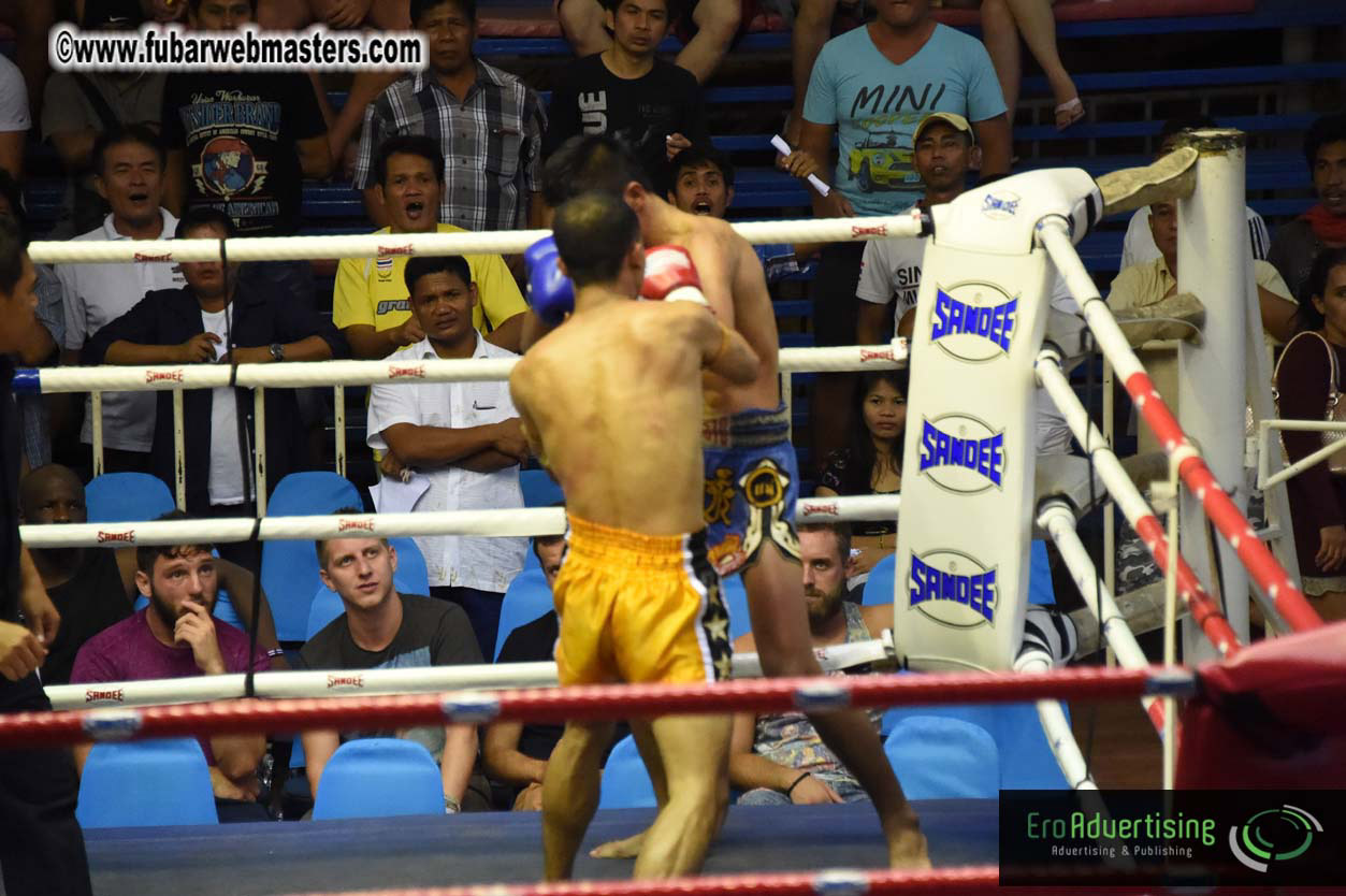 Muay Thai Boxing