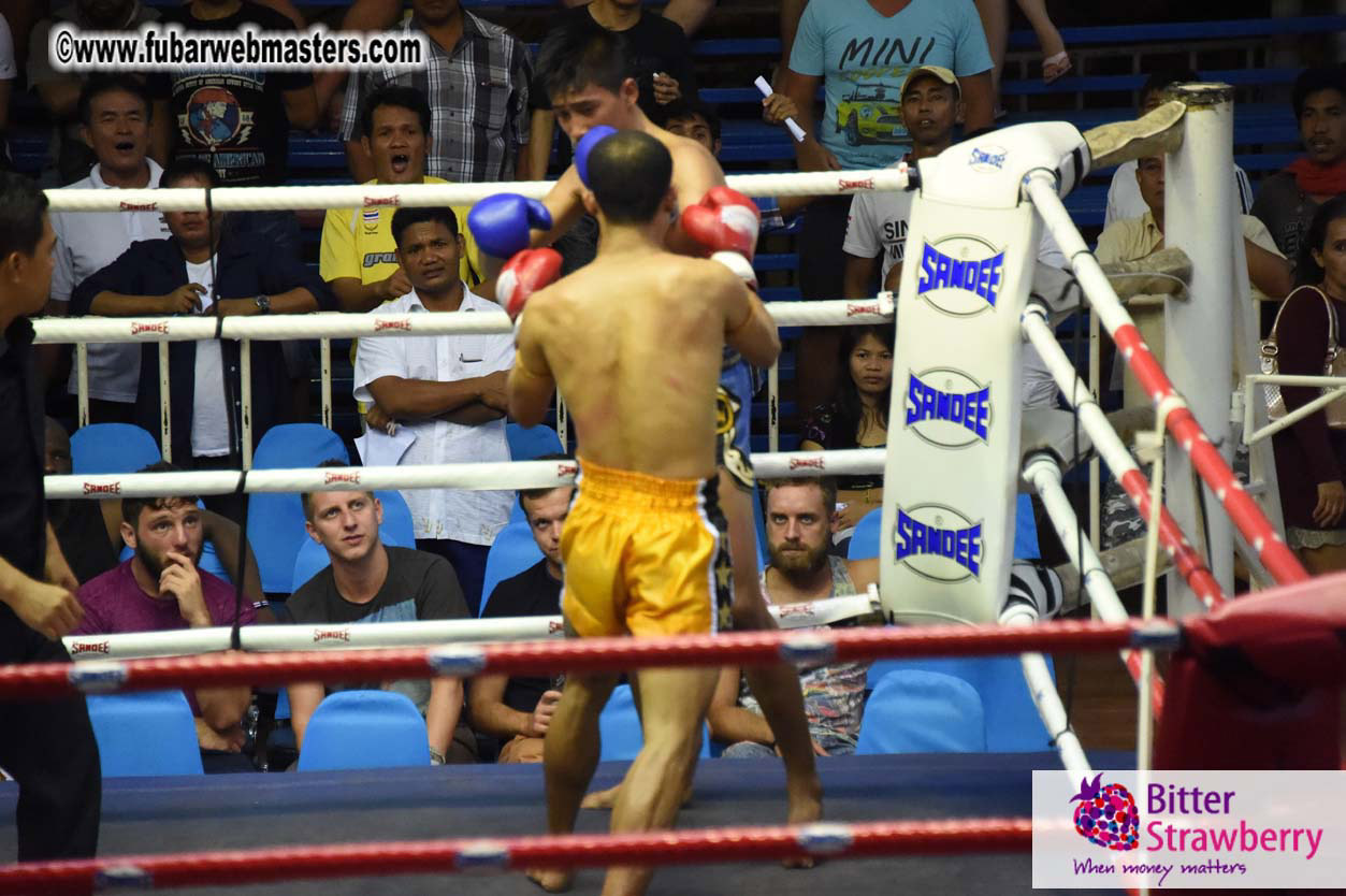 Muay Thai Boxing