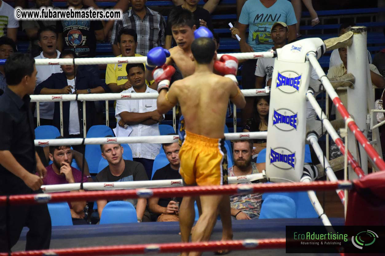 Muay Thai Boxing