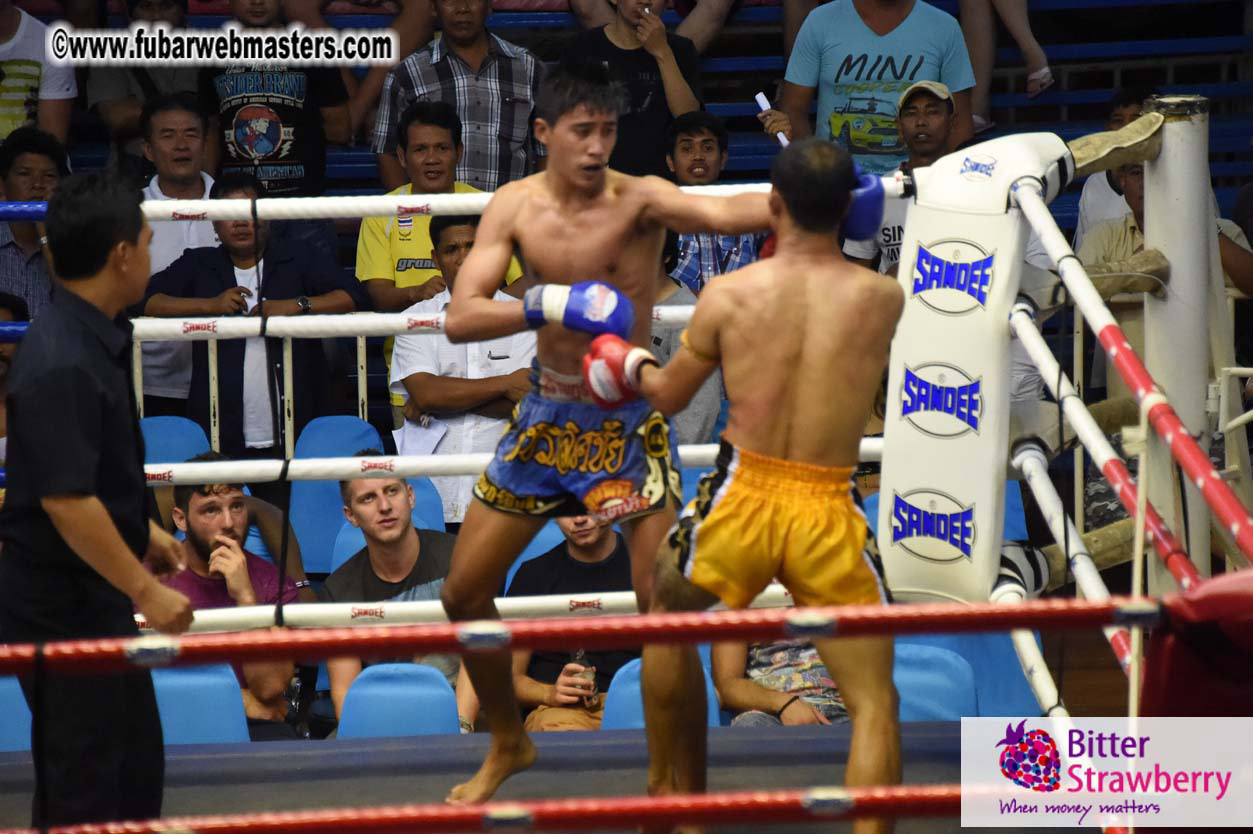 Muay Thai Boxing