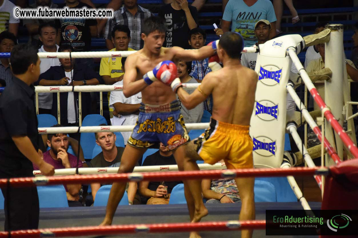 Muay Thai Boxing