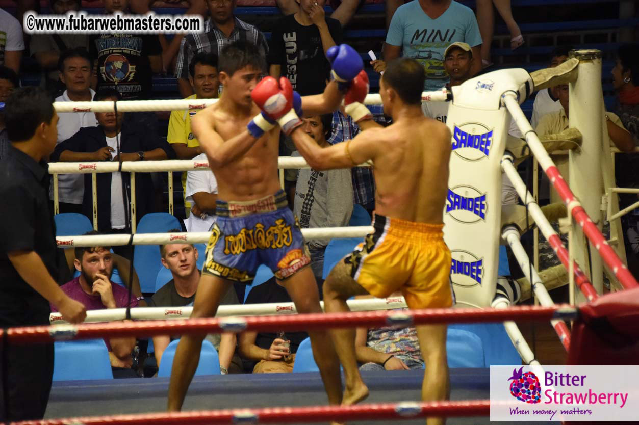 Muay Thai Boxing