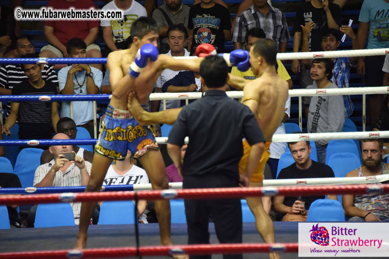 Muay Thai Boxing