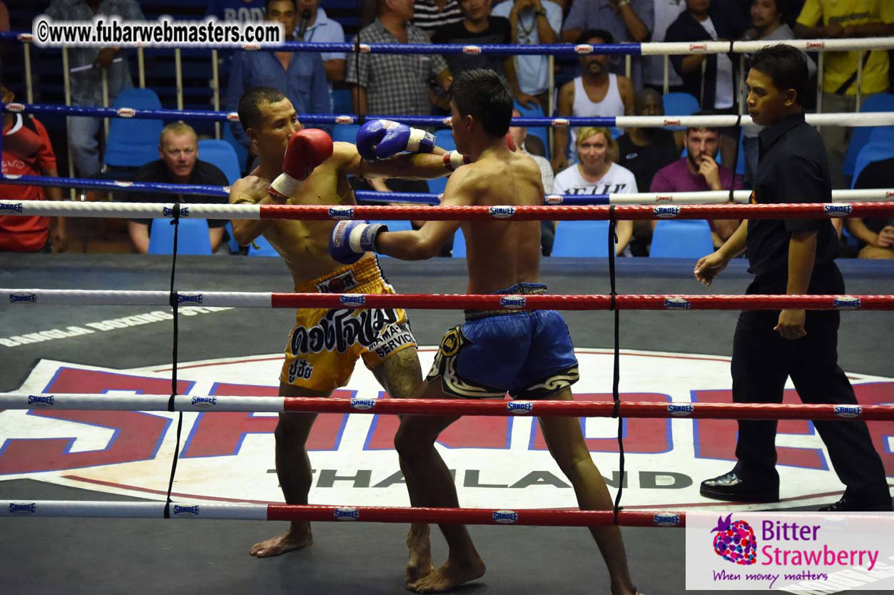 Muay Thai Boxing