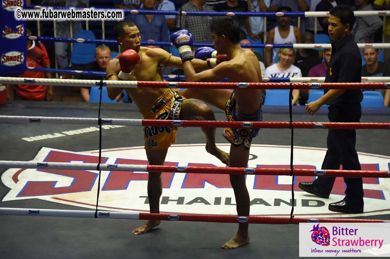 Muay Thai Boxing