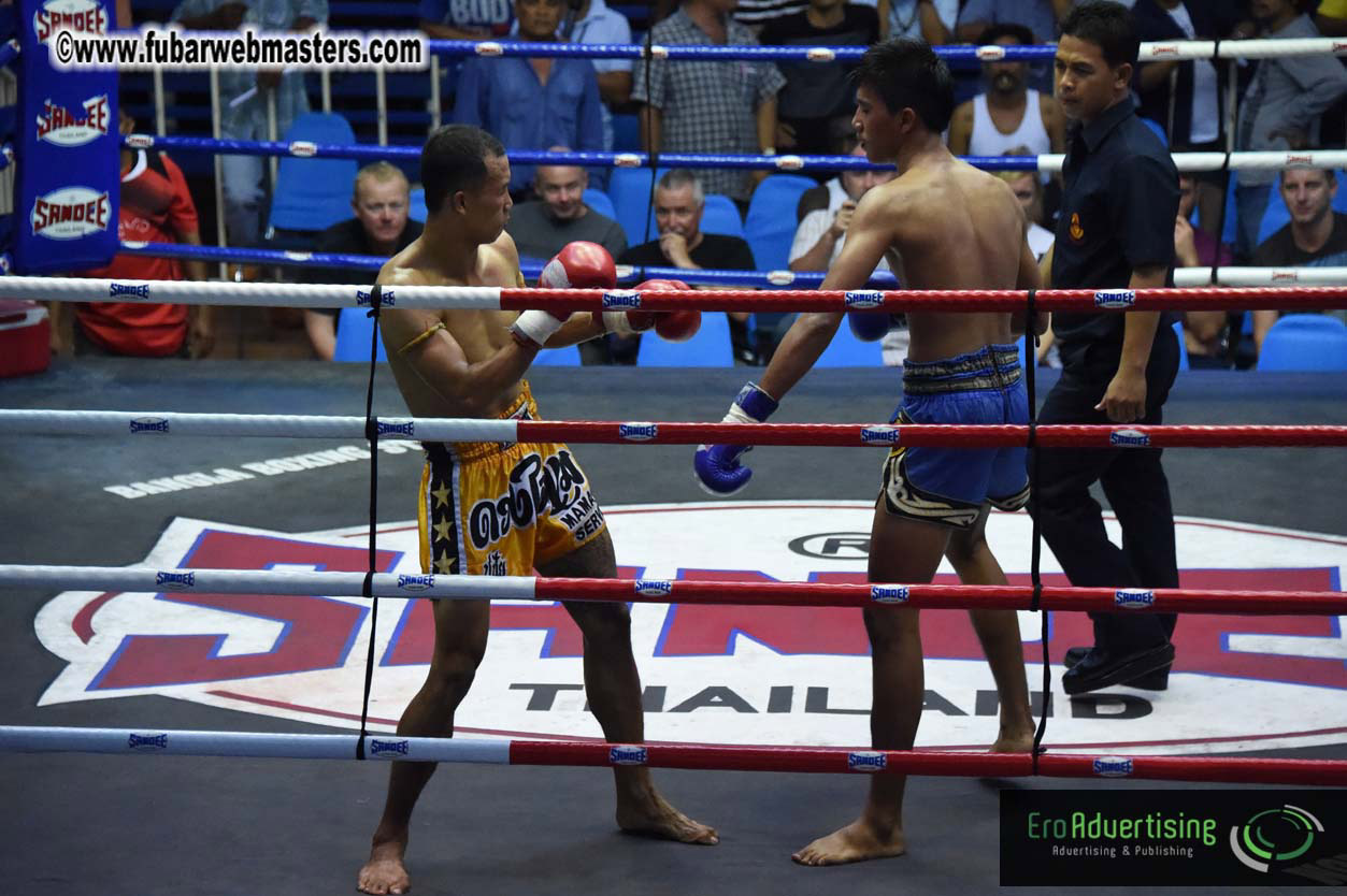 Muay Thai Boxing