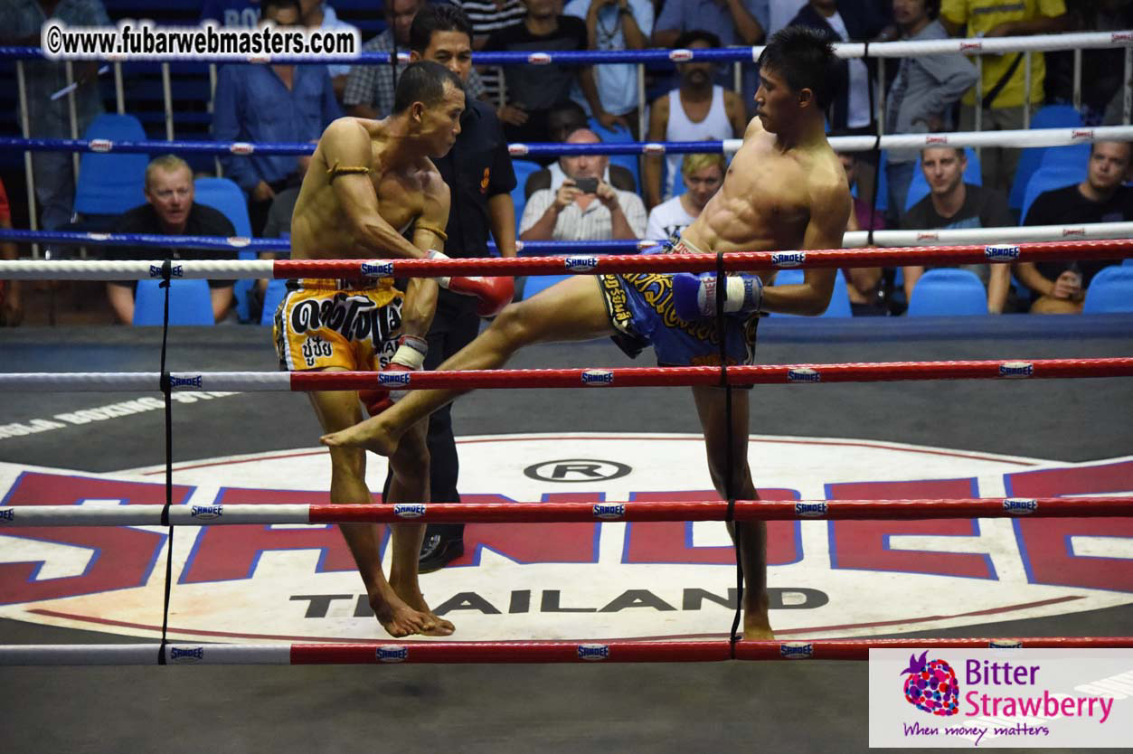 Muay Thai Boxing