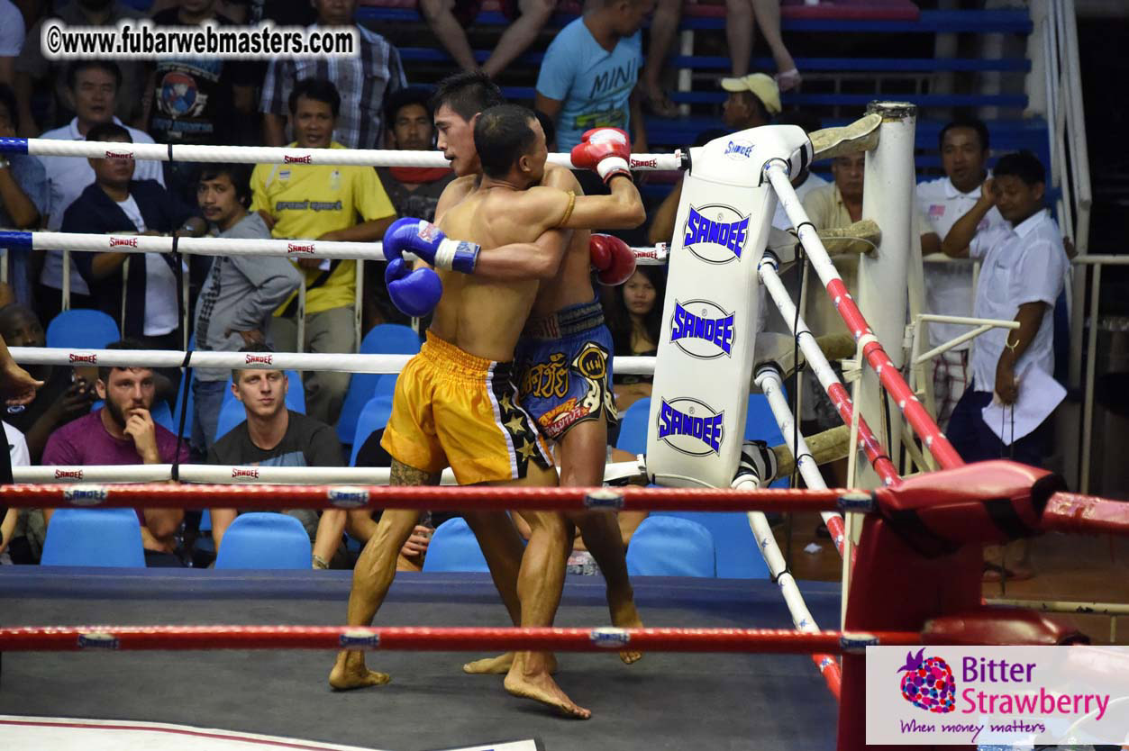 Muay Thai Boxing