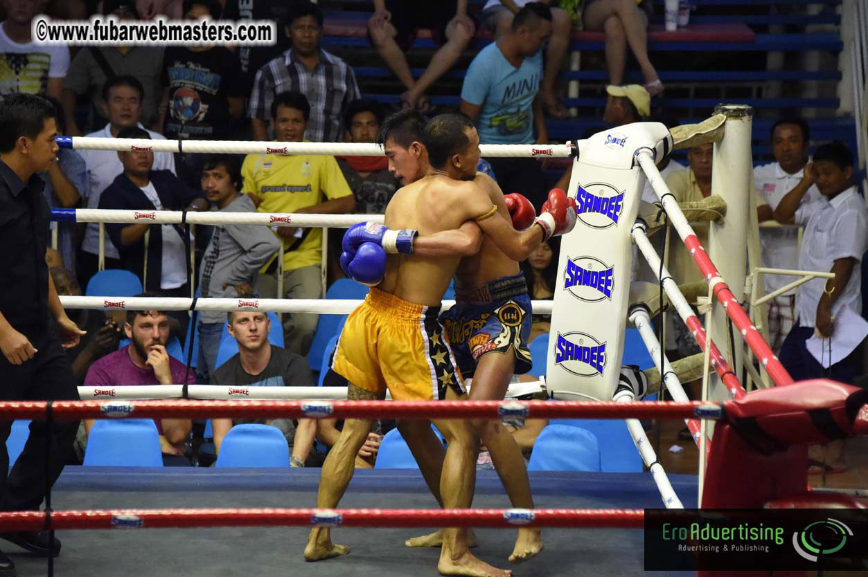 Muay Thai Boxing