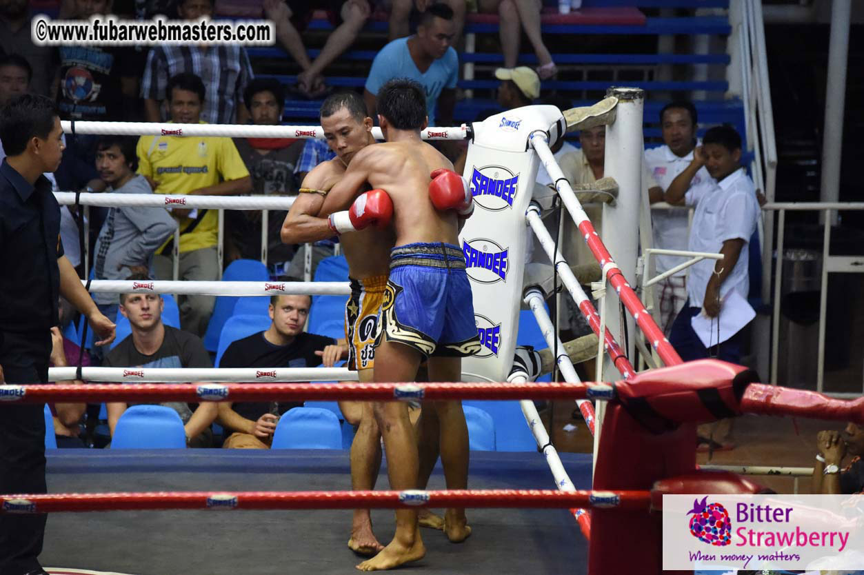 Muay Thai Boxing