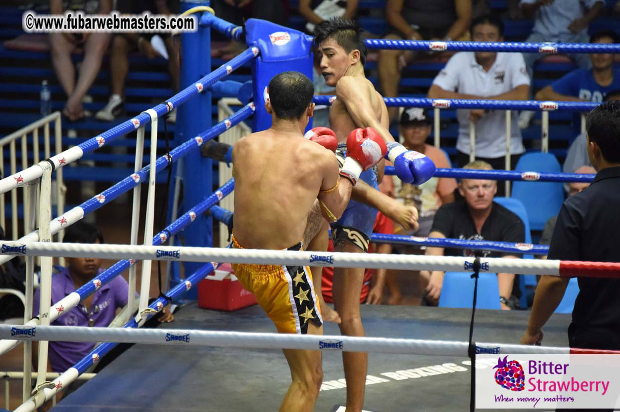 Muay Thai Boxing