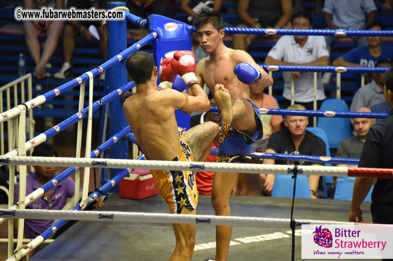 Muay Thai Boxing