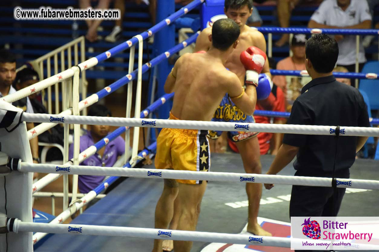 Muay Thai Boxing