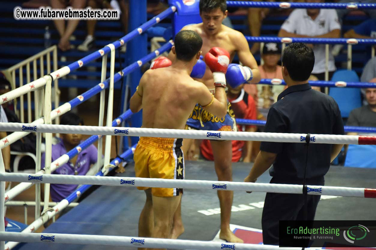 Muay Thai Boxing