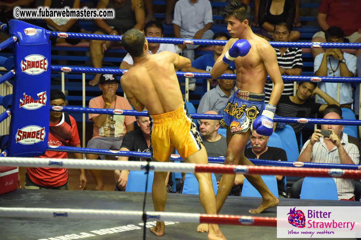 Muay Thai Boxing