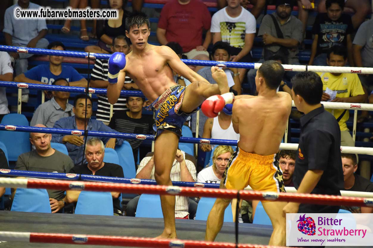 Muay Thai Boxing