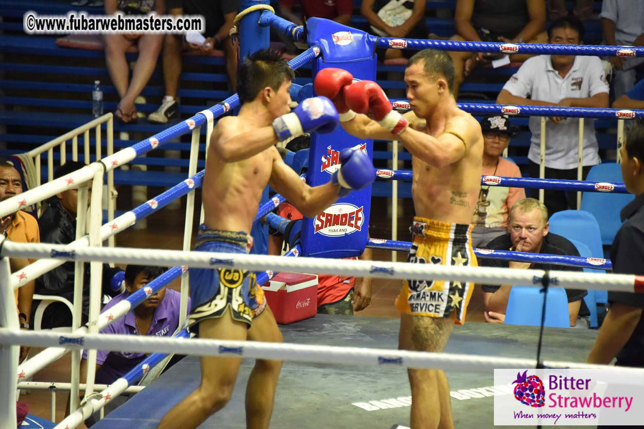 Muay Thai Boxing