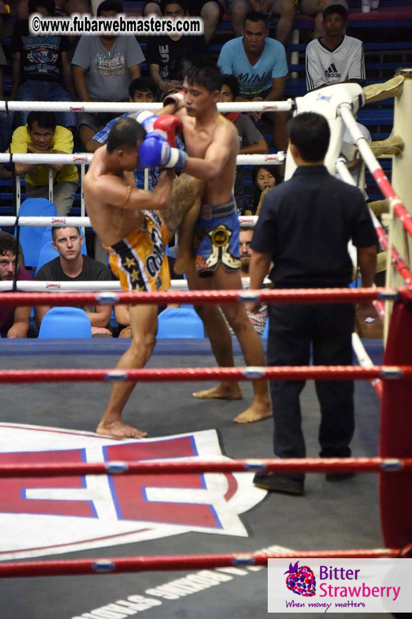 Muay Thai Boxing