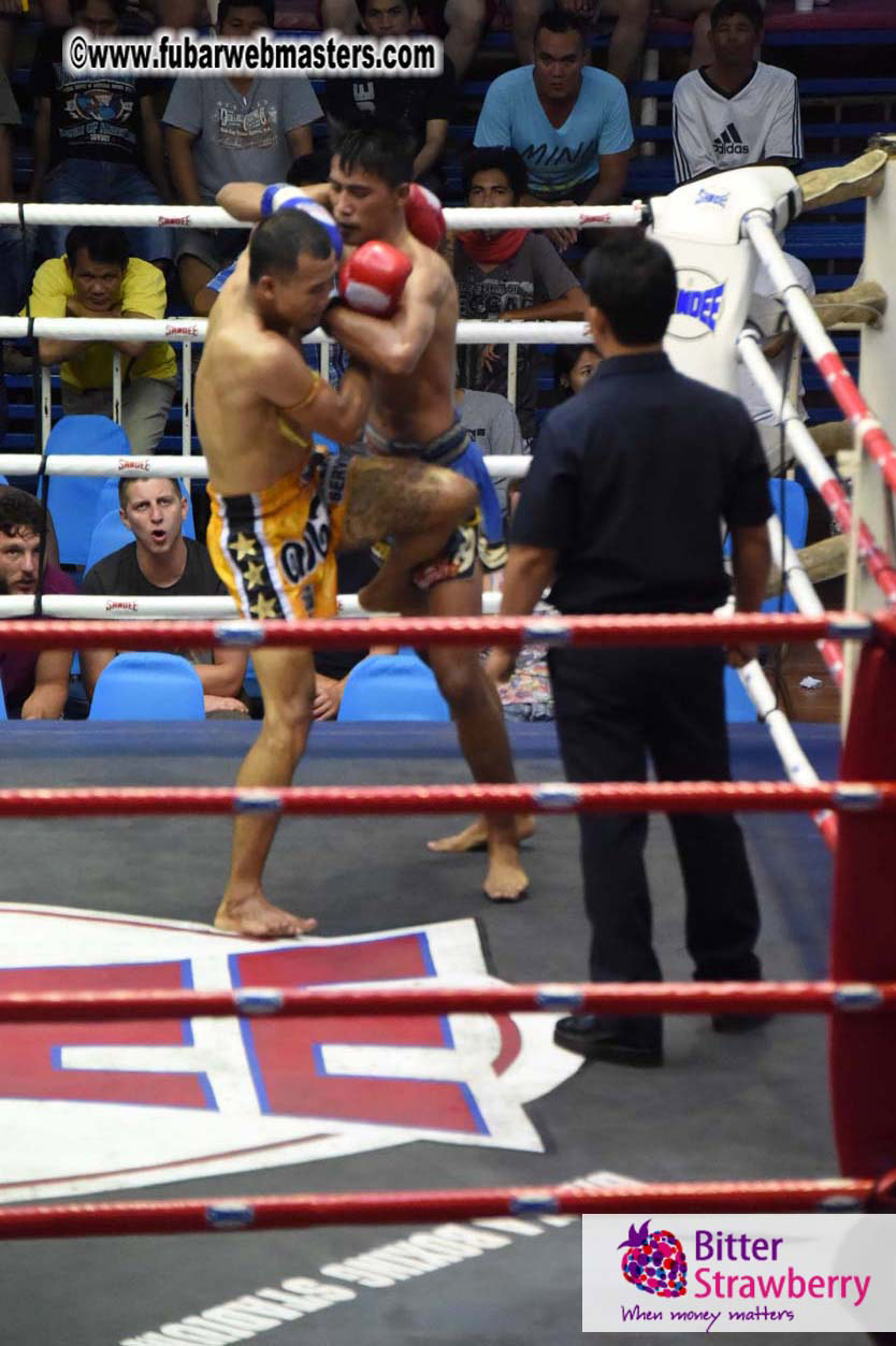 Muay Thai Boxing