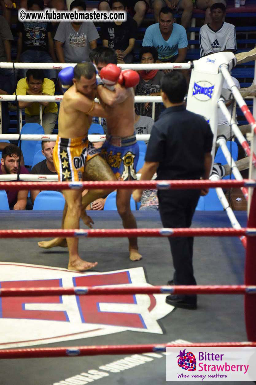 Muay Thai Boxing