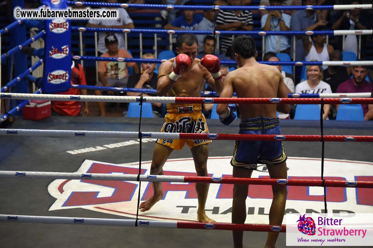 Muay Thai Boxing