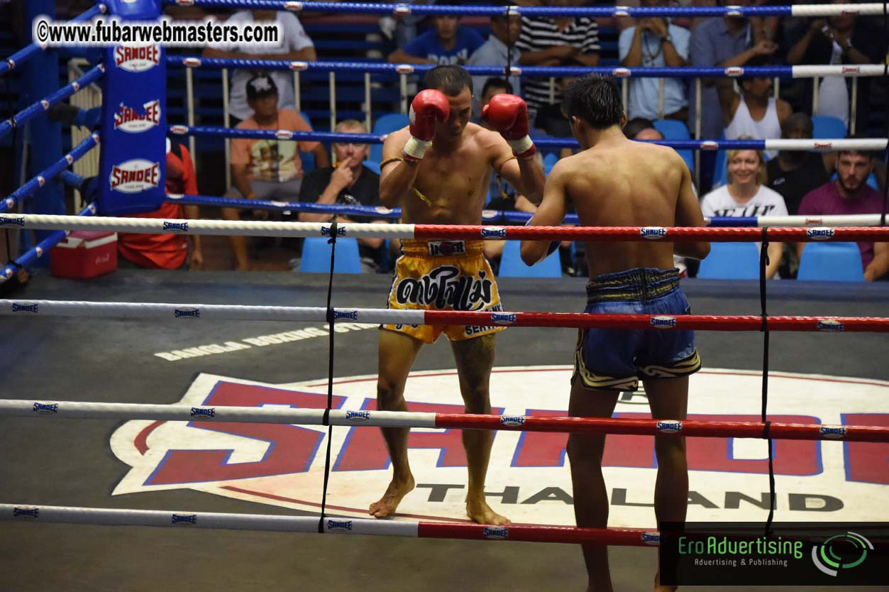 Muay Thai Boxing