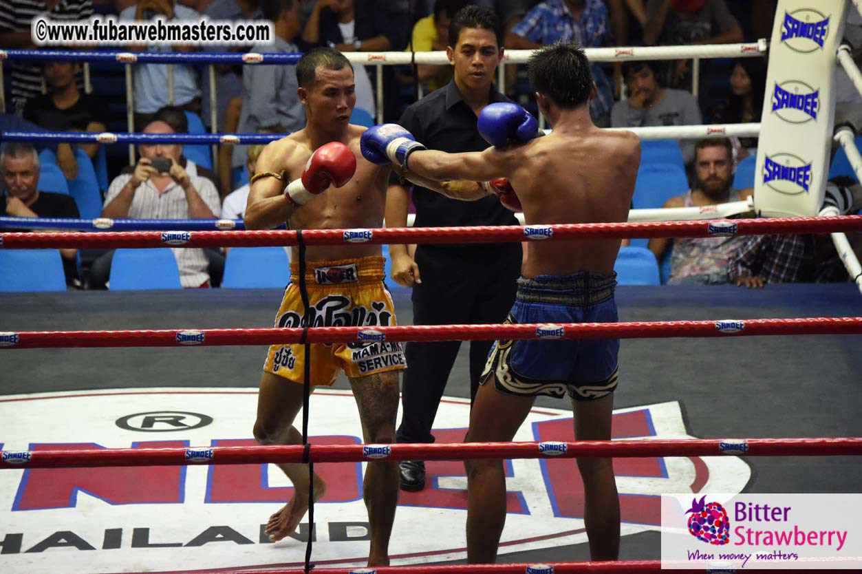 Muay Thai Boxing