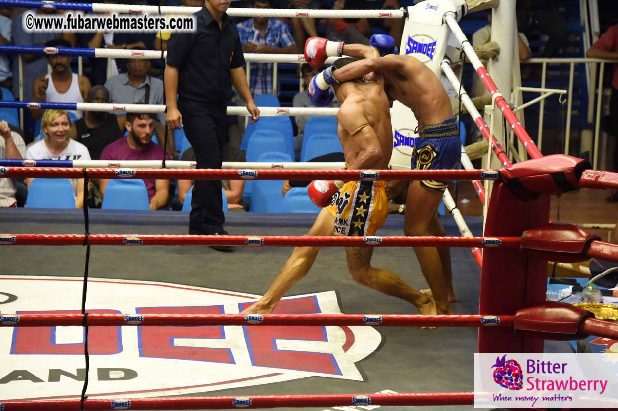 Muay Thai Boxing