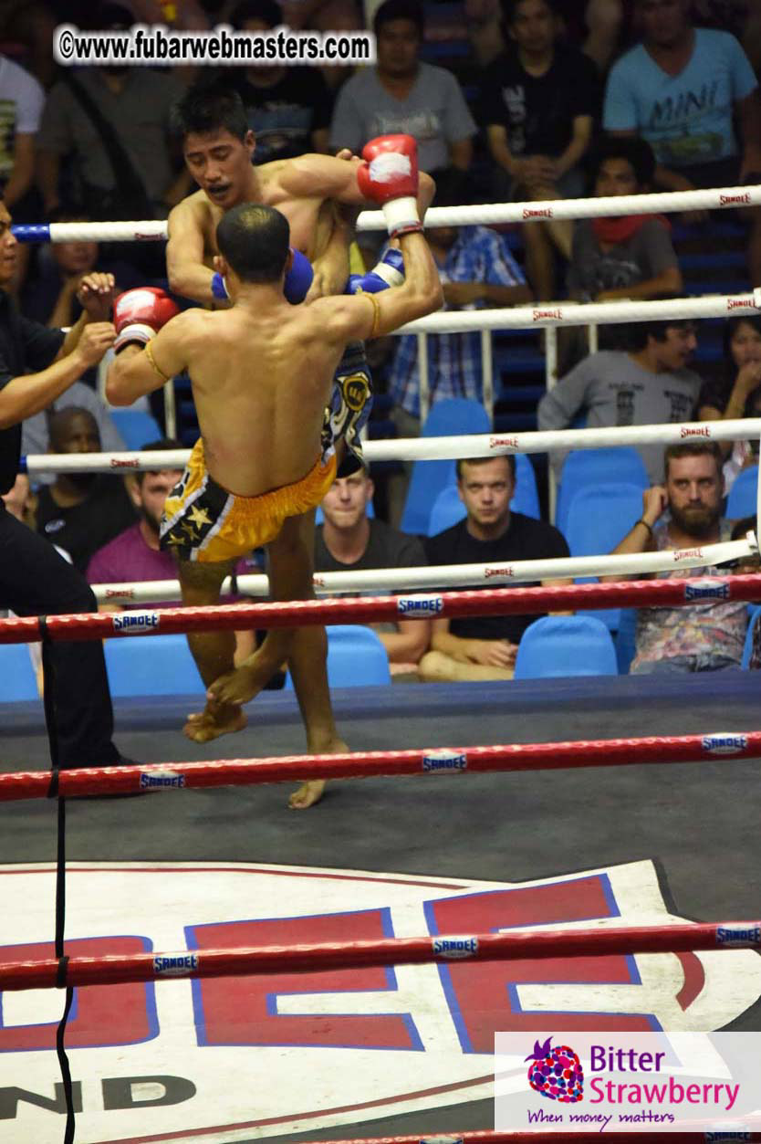 Muay Thai Boxing