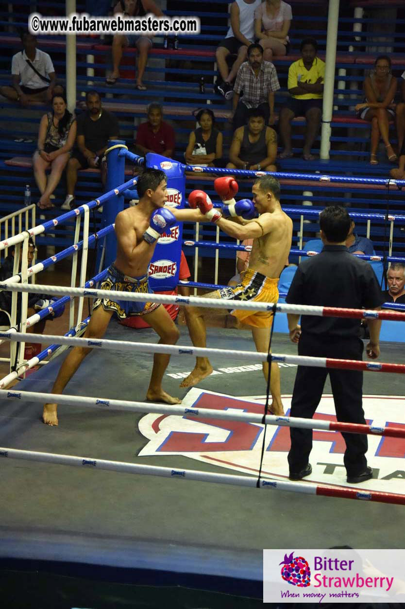 Muay Thai Boxing