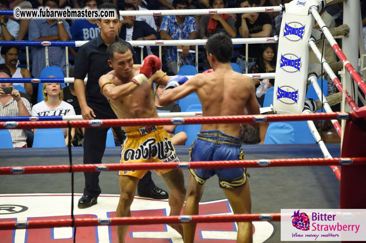 Muay Thai Boxing