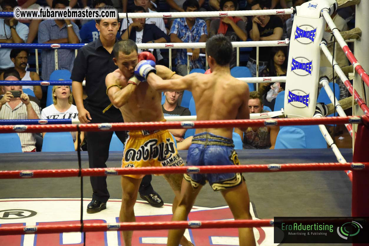 Muay Thai Boxing