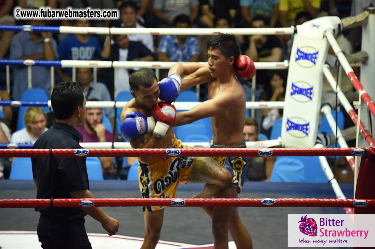 Muay Thai Boxing