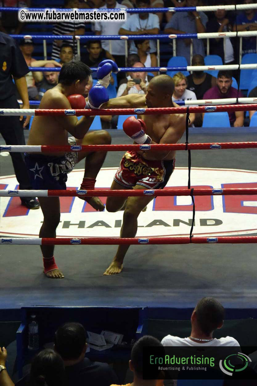 Muay Thai Boxing