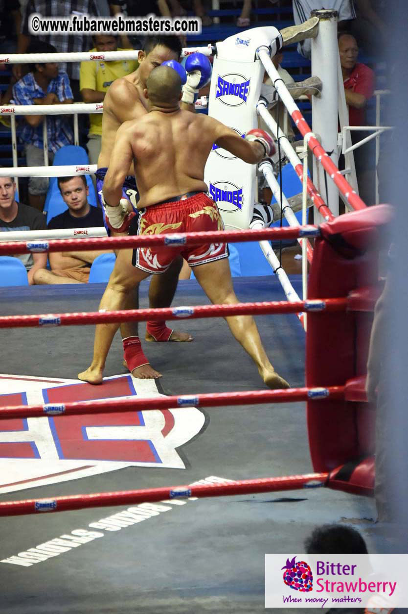 Muay Thai Boxing