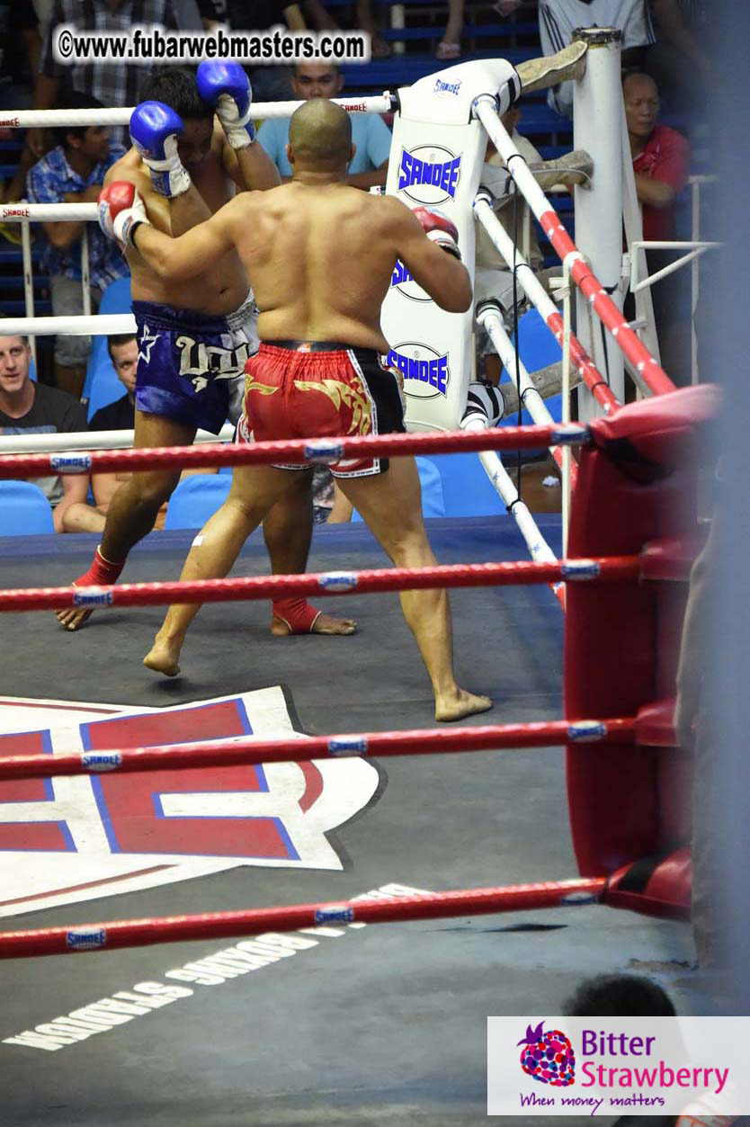 Muay Thai Boxing