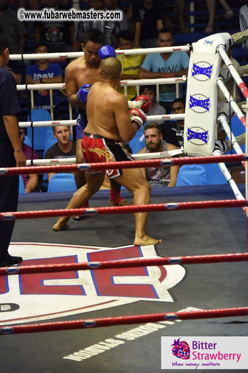 Muay Thai Boxing