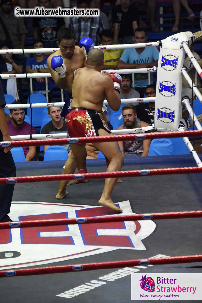 Muay Thai Boxing