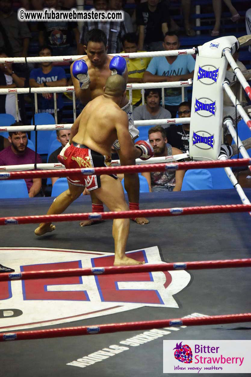 Muay Thai Boxing