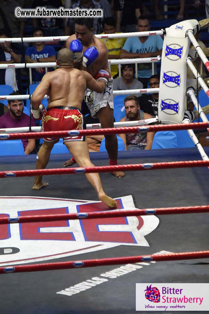 Muay Thai Boxing