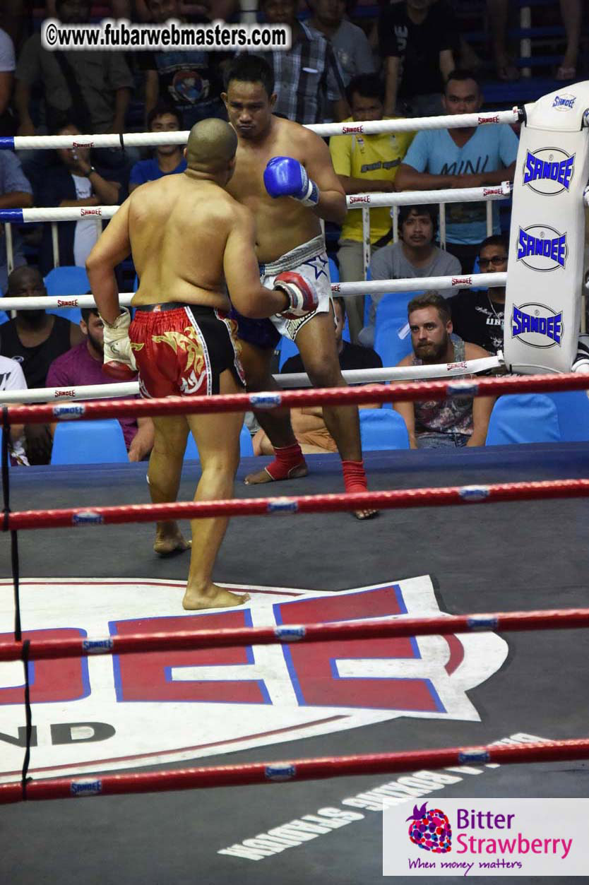 Muay Thai Boxing