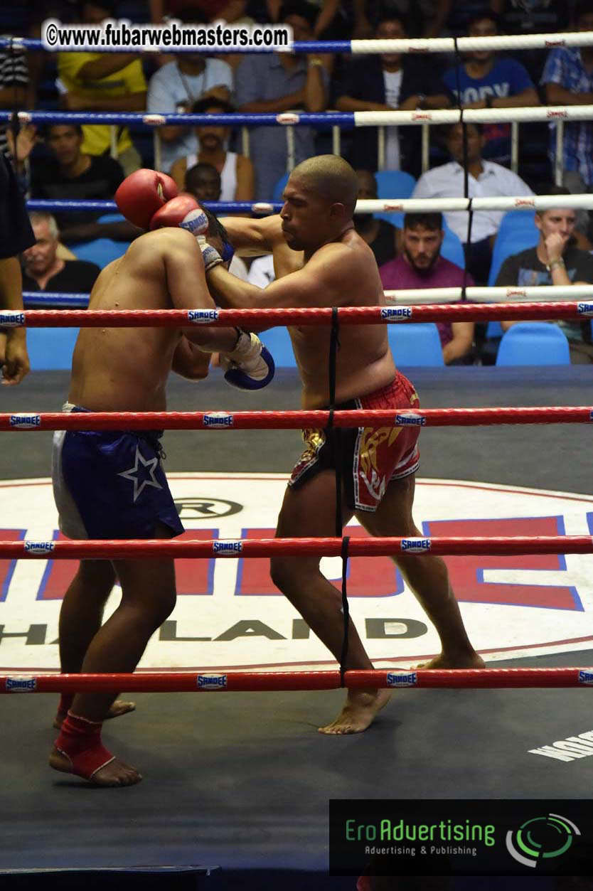 Muay Thai Boxing