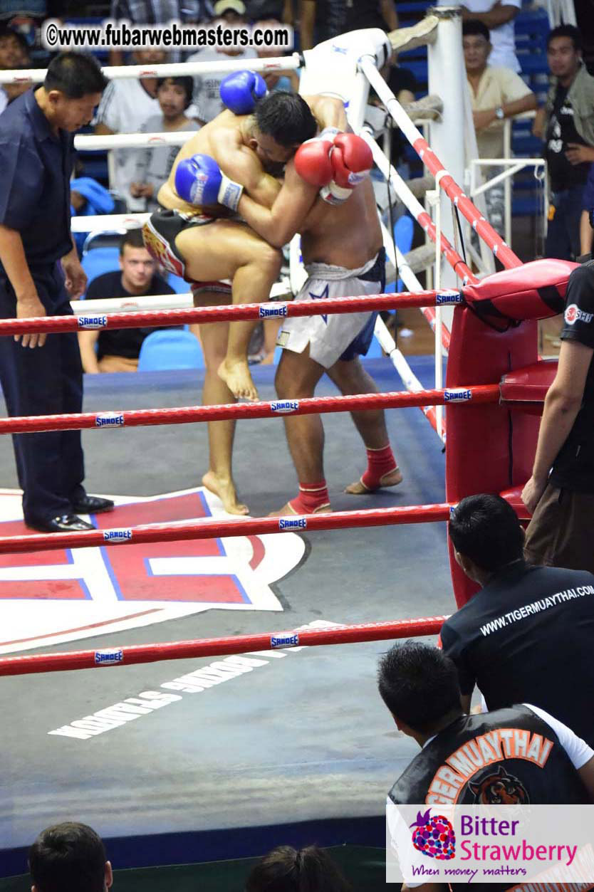 Muay Thai Boxing