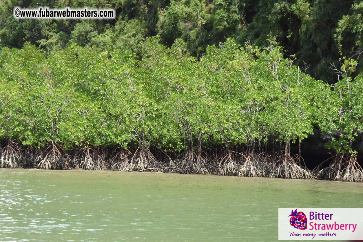 James Bond Island Networking Cruise